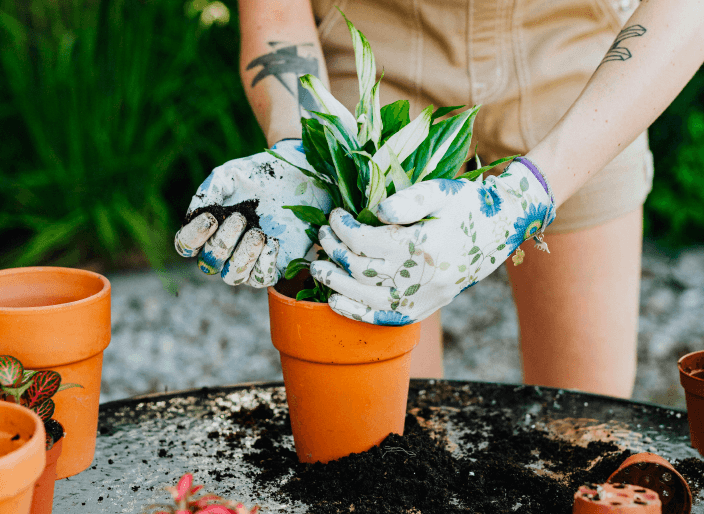 Gardening